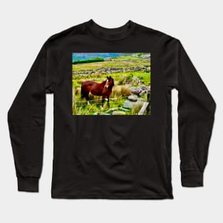 A horse stands in a field in the Welsh mountains Long Sleeve T-Shirt